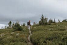 Photo of Как изменить личные данные в VK