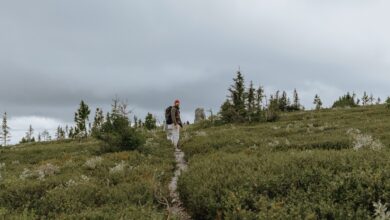 Photo of Как изменить личные данные в VK