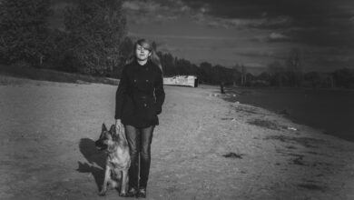 Photo of Советы по ведению блога в Tumblr